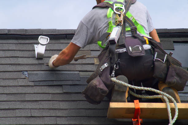Best Roof Gutter Cleaning  in Blue Mound, IL