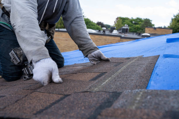 Best Roof Repair Services  in Blue Mound, IL